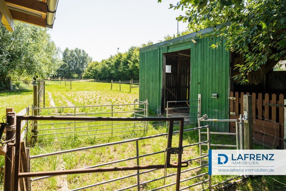 Offenstall und Wiese Einfamilienhaus Fehmarn