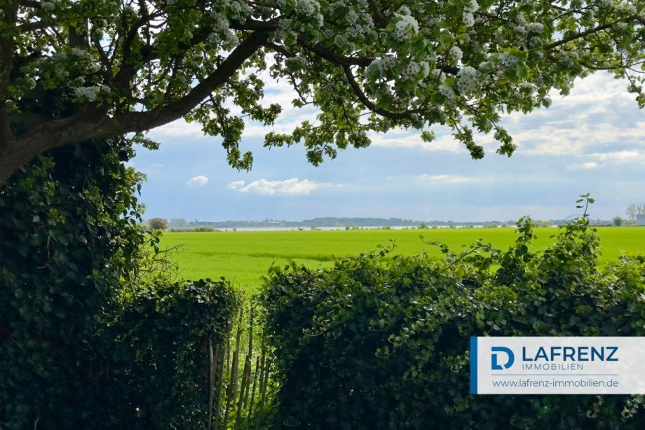 Ausblick-zum-Binnensee Einfamilienhaus Fehmarn